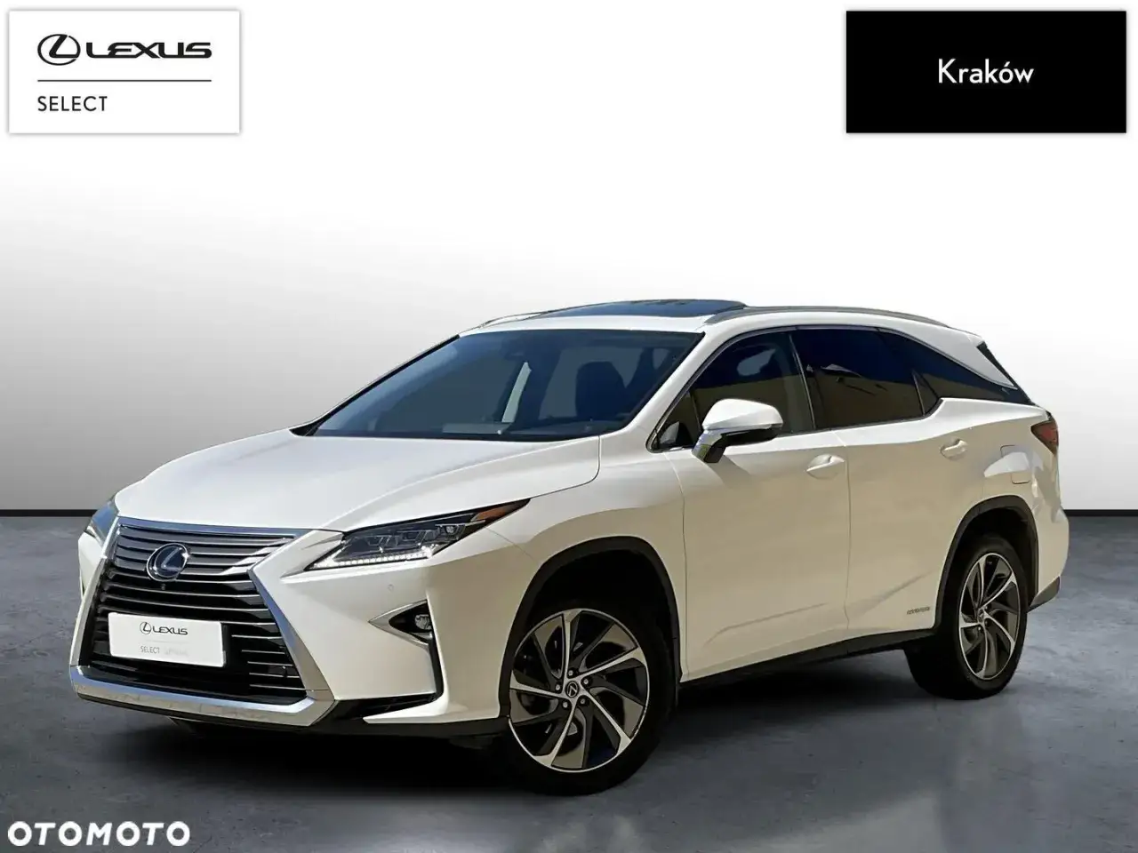 Biały Lexus RX 450h z panoramicznym dachem, zaprezentowany w Krakowie. Elegancki SUV gotowy na każdą podróż.