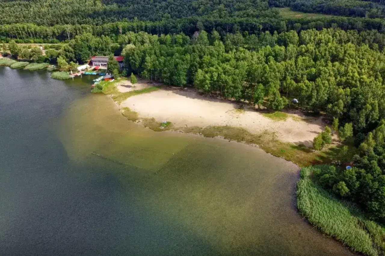 Piękny, piaszczysty brzeg nad zbiornikiem Pogoria, otoczony zielonym lasem. W oddali widać budynek z pomostem i łódkami.