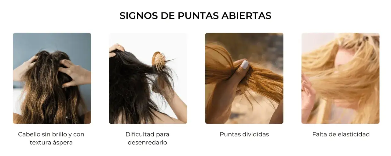 Manos enredando cabello seco y &aacute;spero, mostrando puntas abiertas y pelo roto y encrespado.
