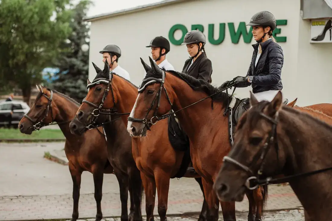 Zdjęcie Stadnina koni Sosnowiec - wyjątkowe usługi jeździeckie i terapia