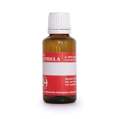 Zdjęcie Skuteczna homeopatia na nerki: ulga w bólu i poprawa zdrowia nerek