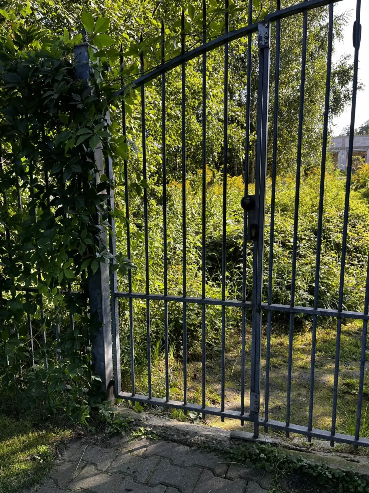 Zdjęcie Skuteczne sposoby na to, czym wyczyścić metalowe ogrodzenie