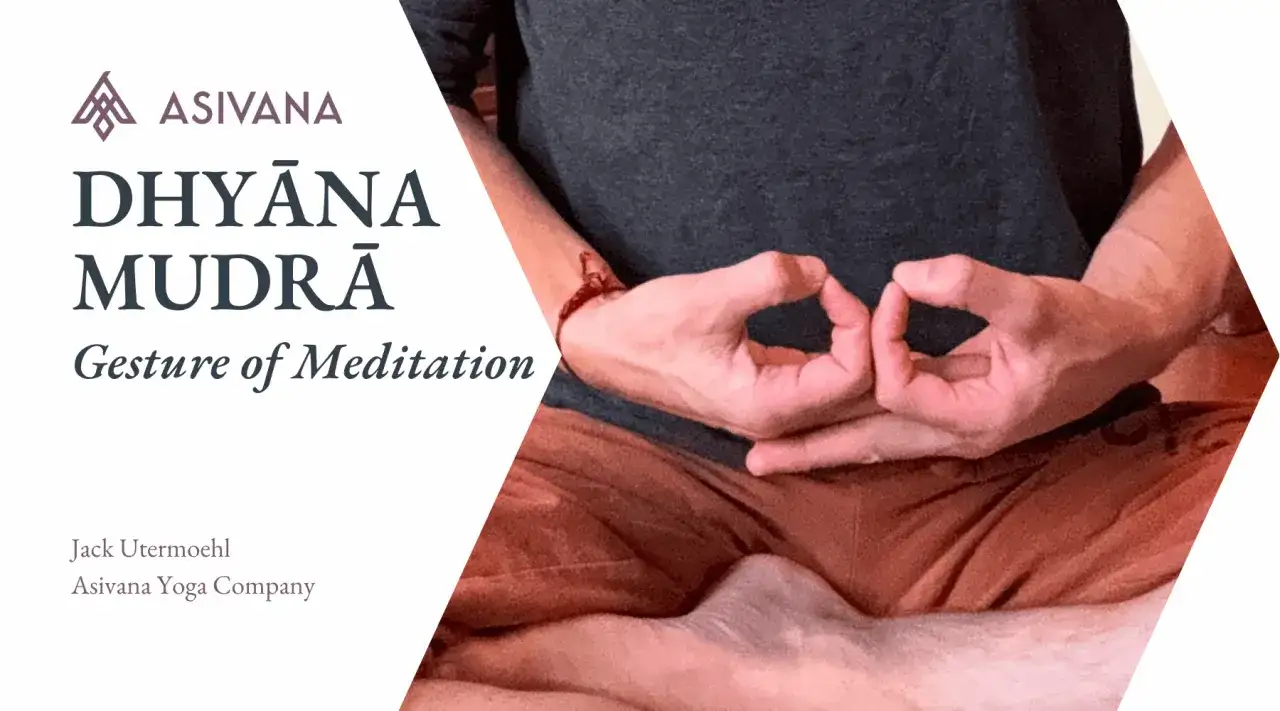 Manos en posición de Dhyana Mudra, gesto de meditación, con el logo de Asivana y el título