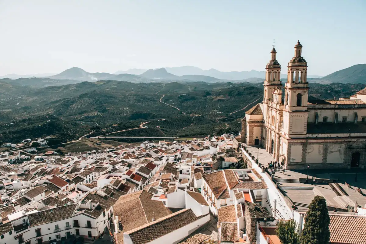 Blick über ein weißes Dorf mit Kirche und Olivenhainen in der Ferne. Ein perfekter tagesausflug seville.