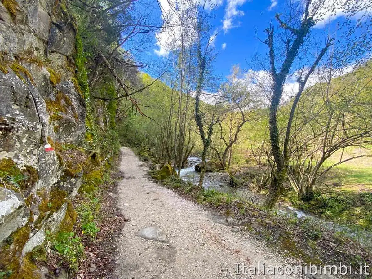 Sentiero roccioso con segnavia rosso-bianco, costeggiato da alberi e un ruscello. La cascata della Prata è vicina.