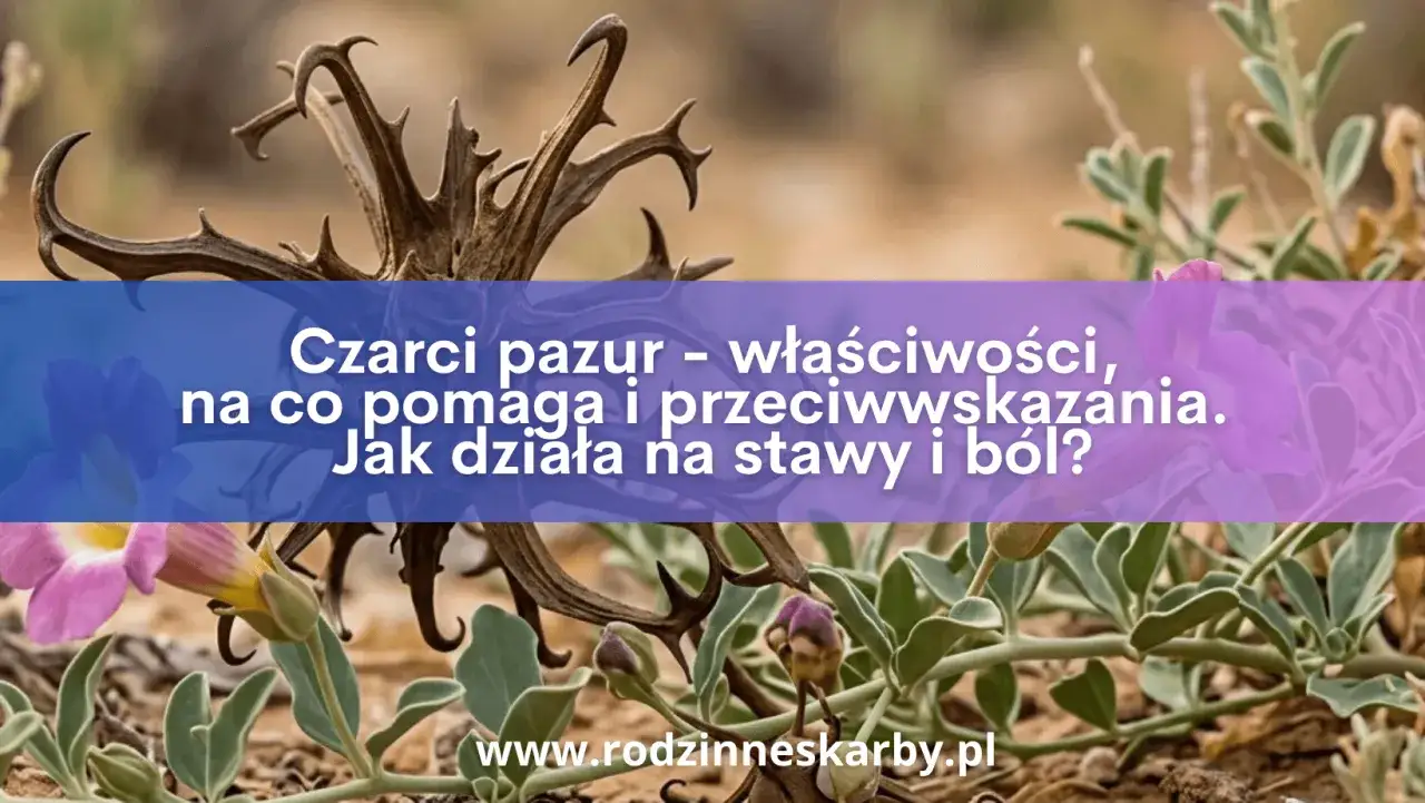 Czarci pazur, roślina o charakterystycznych, zakrzywionych pędach, znana ze swoich właściwości leczniczych, zwłaszcza na stawy i b&oacute;l.