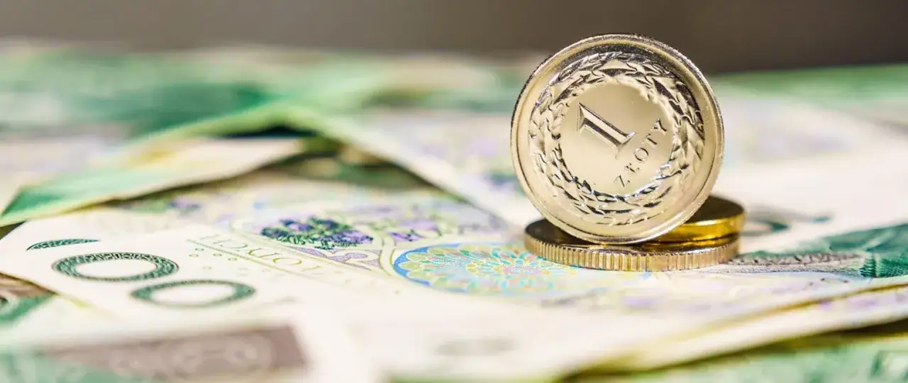 Syndyk, dokumenty finansowe, nadzór finansowy