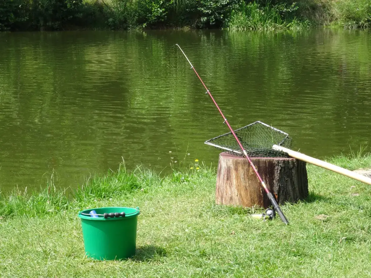 Zielone łowisko na wyspie Pokrzywna. Wędka, podbierak i zielone wiaderko czekają na ryby.