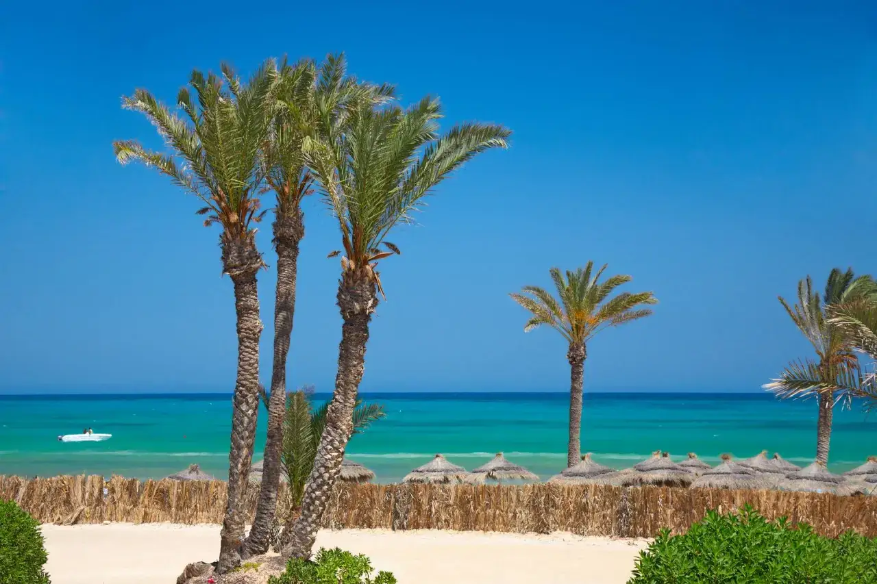 Palmy nad turkusowym morzem, idealna pogoda Djerba. Słoneczny dzień na plaży z łódką na wodzie.