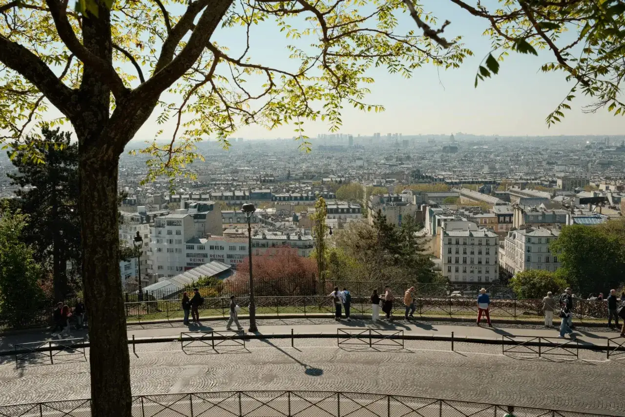 Blick über die Dächer von Paris vom Montmartre. Ein Baum im Vordergrund, im Hintergrund die Stadt.