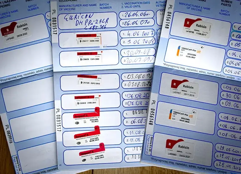 Wzór paszportu dla psa UE