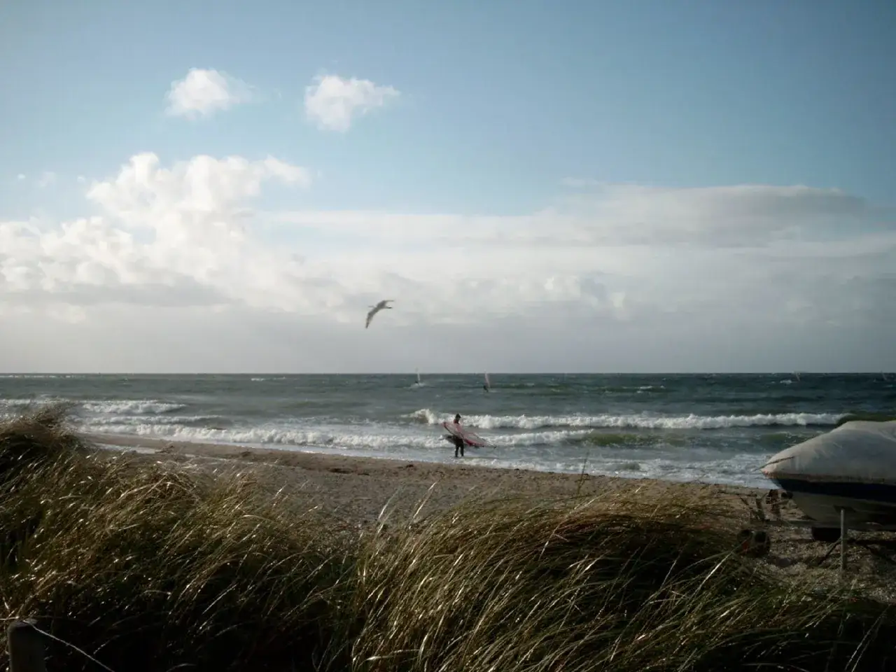 Ein Surfer trägt sein Brett am Strand von Fehmarn, während Möwen über der Ostsee kreisen.