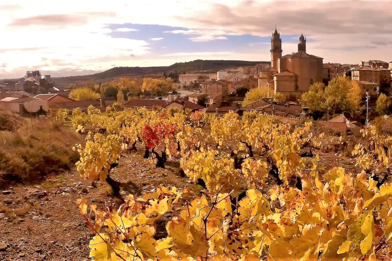 Viñedos dorados en otoño, con un pueblo y una iglesia al fondo. Un paisaje idílico para descubrir qué ver en Ribera del Duero.