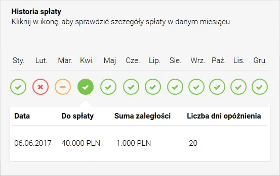 przykładowy raport BIK scoring historia spłat