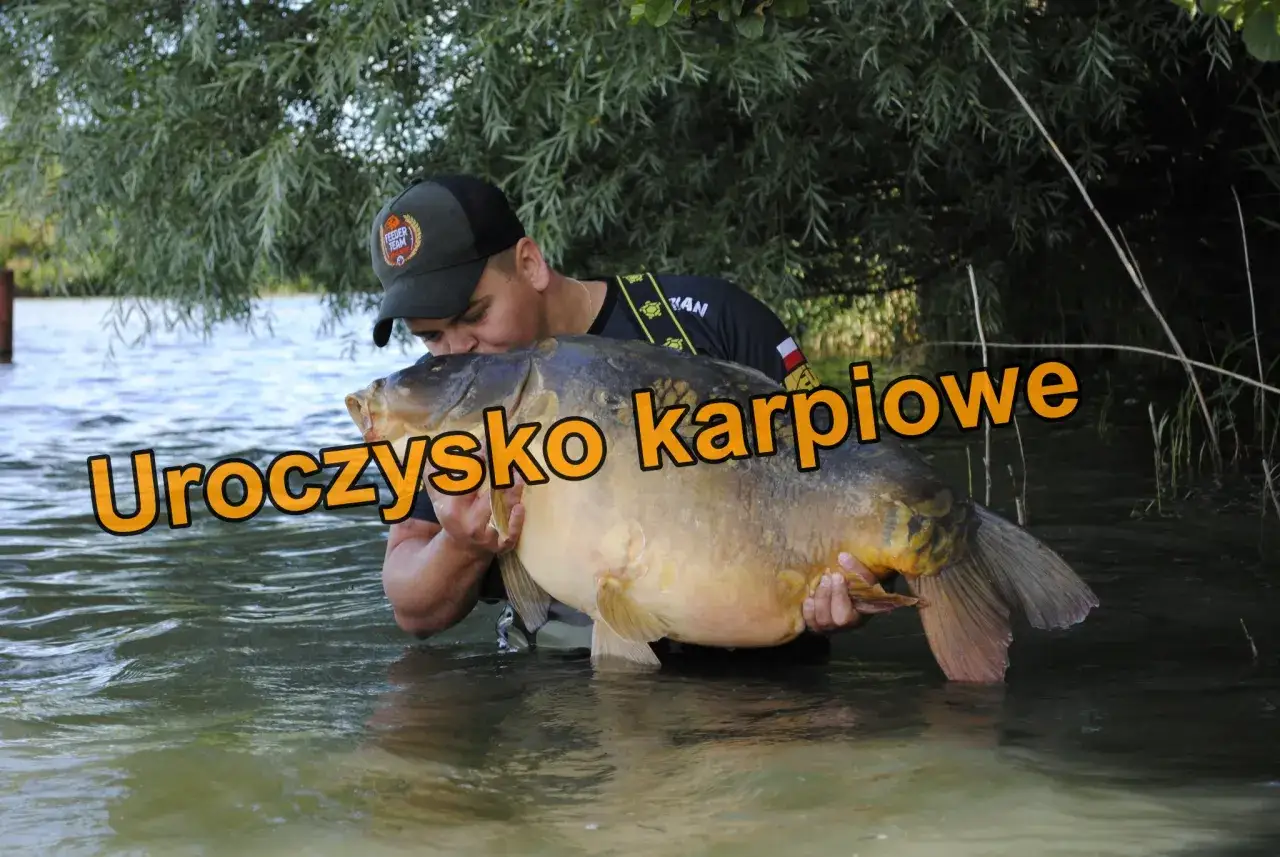 Wędkarz z dumą prezentuje ogromnego karpia złowionego na uroczysko karpiowe stanowiska.