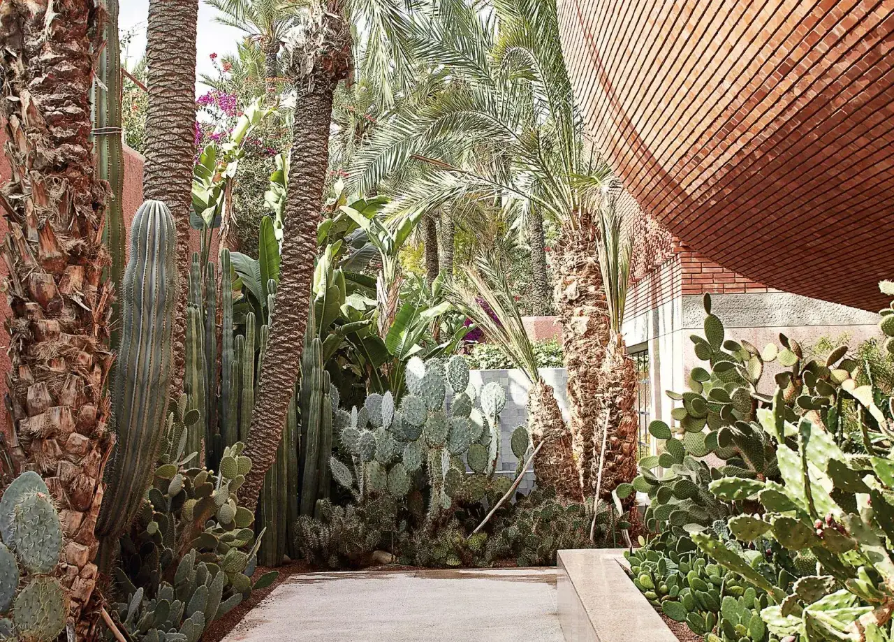 YSL Marrakesch: &Uuml;ppiger Garten mit Palmen, Kakteen und einer modernen Ziegelwand.