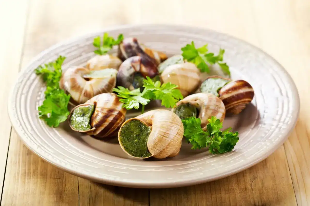 Escargots &agrave; l'ail et persil sur une assiette, pr&ecirc;ts &agrave; &ecirc;tre d&eacute;gust&eacute;s. La question est : quel vin avec les escargots ?