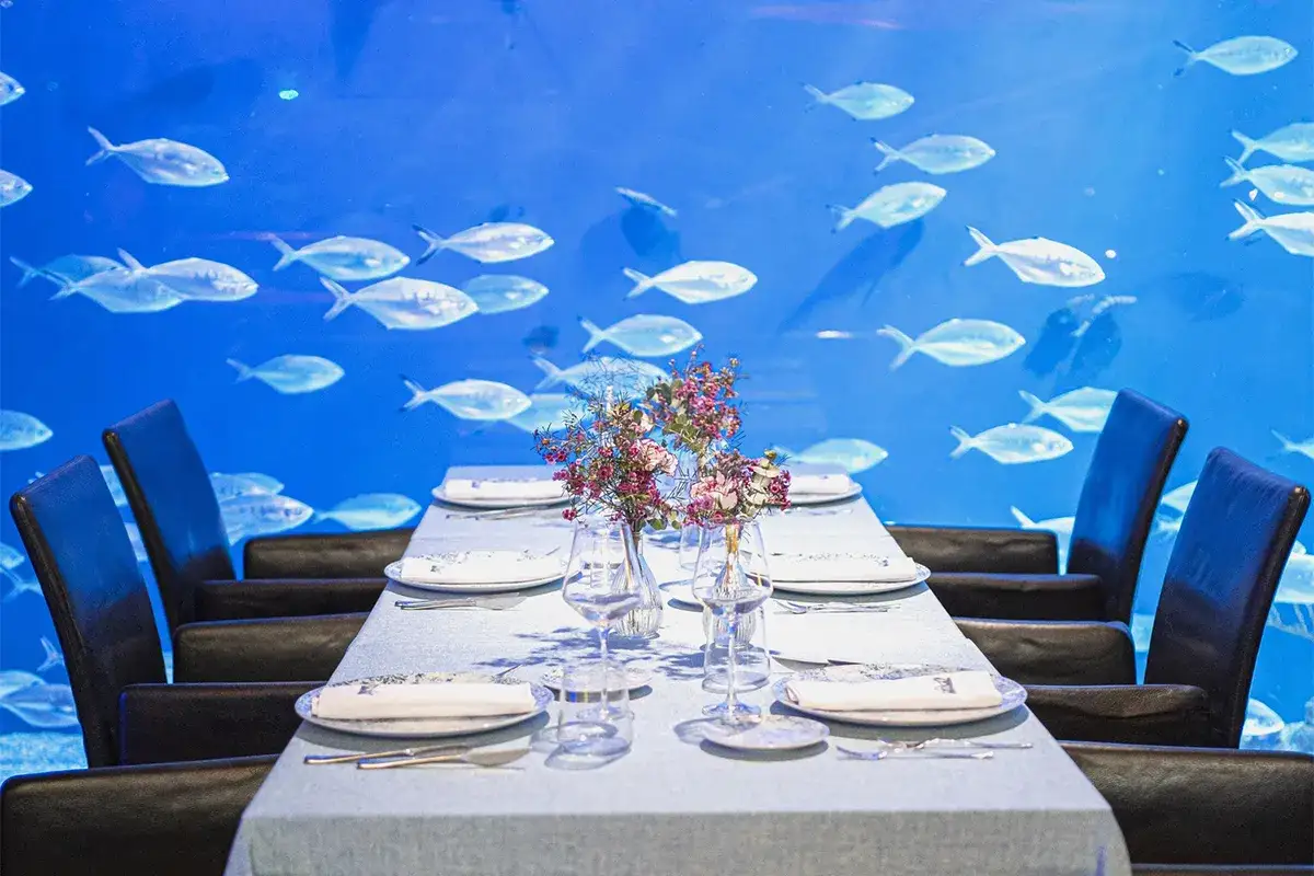 Mesa elegante con peces nadando detr&aacute;s. Ideal para saber donde comer en el Oceanogr&agrave;fic, opiniones de comensales.