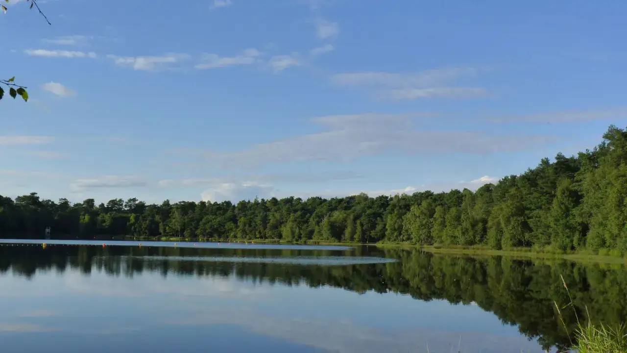 Idyllischer Bullensee in Rotenburg, umgeben von dichtem gr&uuml;nen Wald, spiegelt sich im ruhigen Wasser unter blauem Himmel mit Wolken.
