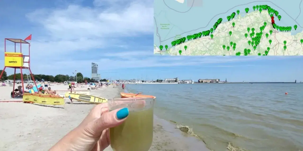 Na mapie zaznaczono miejsca występowania sinicy na wybrzeżu. Na pierwszym planie ręka trzyma napój na tle plaży i morza.