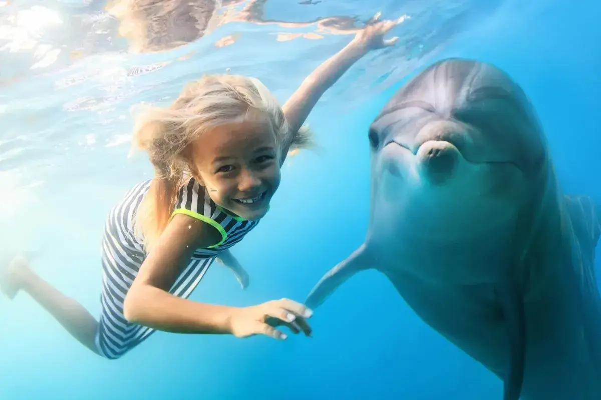 delfinarium pływanie z delfinami