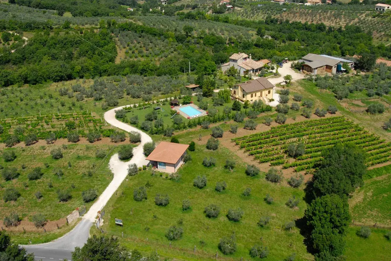 Agriturismo con piscina tra ulivi e vigneti, ideale per scoprire dove andare in vacanza a settembre in Italia.