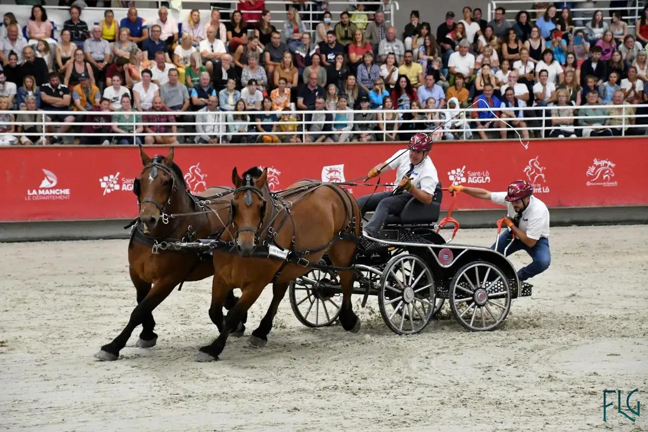 Deux chevaux cob normand tirent une cal&egrave;che dans une ar&egrave;ne, sous les regards d'un public nombreux.