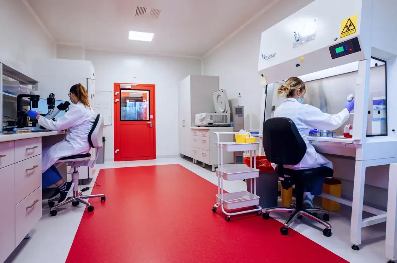 Naukowczynie pracują w laboratorium, badając próbki, być może krew pępowinową, pod mikroskopem i w komorze laminarnej.