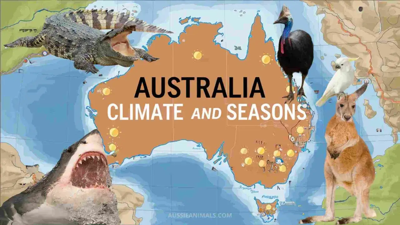 Krokodil, Hai, K&auml;nguru, Kakadu und Kasuar umrahmen Australien. Die beste Reisezeit h&auml;ngt vom Klima ab.