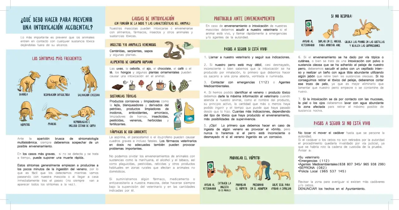 Ilustración muestra síntomas de intoxicación en perros, como vómitos y diarrea, y enumera causas comunes de **veneno para perros**, incluyendo alimentos y productos tóxicos.
