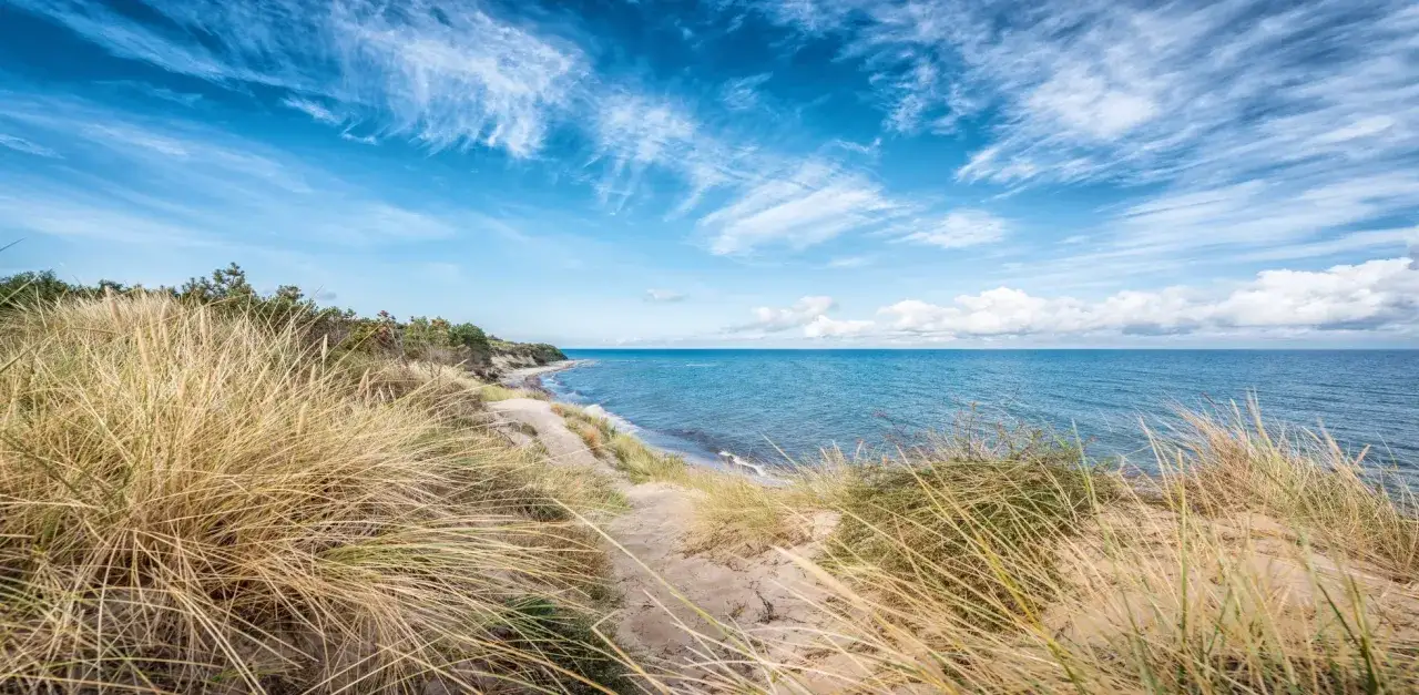 Ein sandiger Pfad führt durch hohe Gräser zum **dranske strand**. Das Meer glitzert unter einem blauen Himmel mit weißen Wolken.