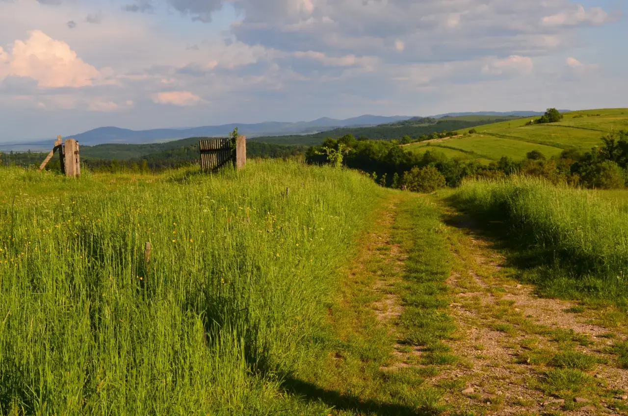 Kalwaria Pacławska panorama z lotu ptaka