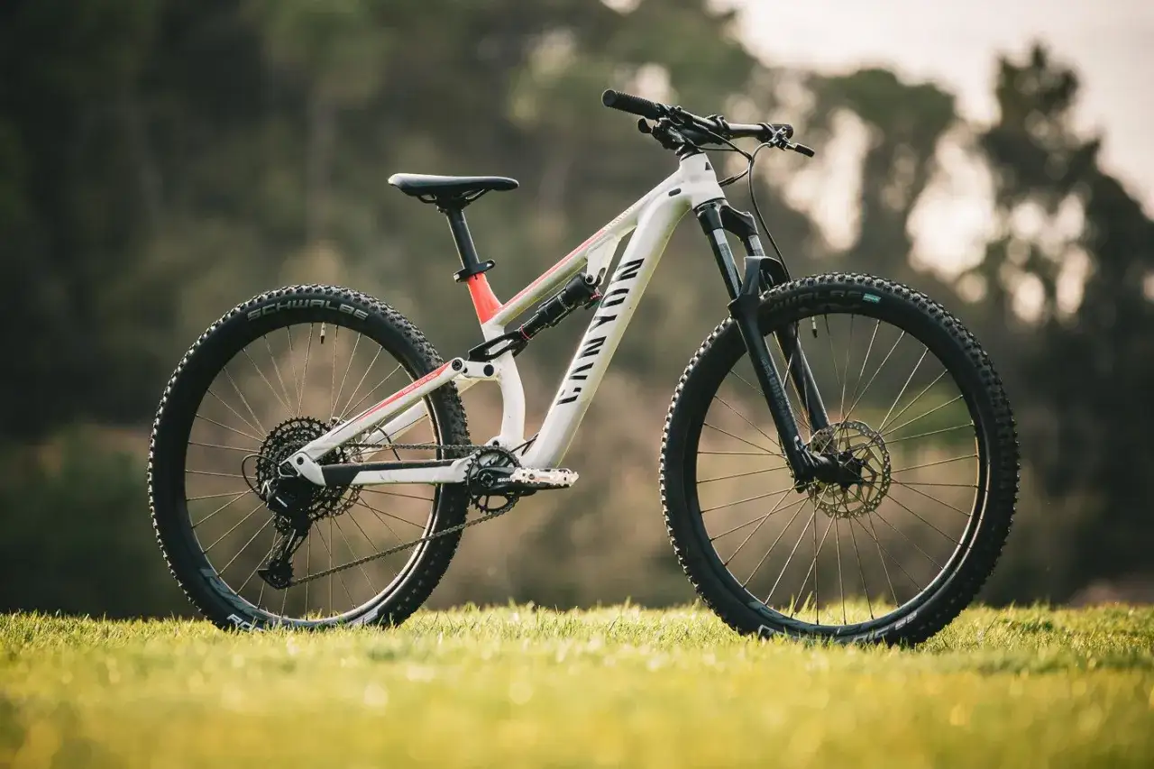 Ein weißes Canyon Nerve AL 8.0 Mountainbike steht auf einer sonnigen Wiese, bereit für das nächste Abenteuer.