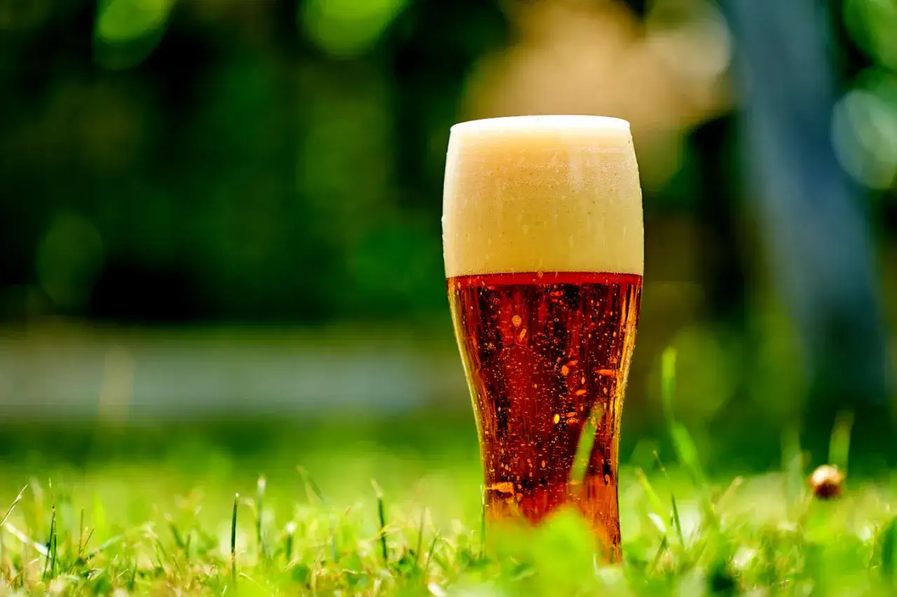Orzeźwiający lager wiedeński z gęstą pianką, stojący na zielonej trawie w letnim ogrodzie.