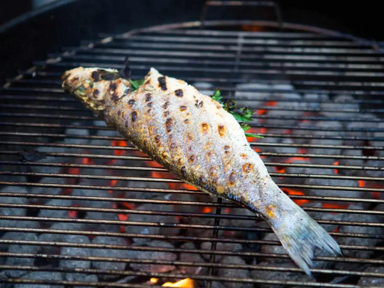 Un bar entier cuit sur un barbecue, sa peau dor&eacute;e et l&eacute;g&egrave;rement noircie par les flammes. Un d&eacute;lice estival !