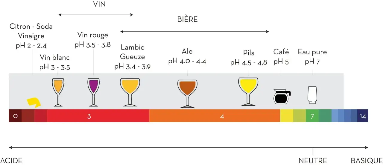 &Eacute;chelle de pH montrant des boissons comme le vinaigre (pH 2-2.4), le vin (pH 3-3.8), la bi&egrave;re (pH 4-4.8), le caf&eacute; (pH 5) et l'eau pure (pH 7), avec des indicateurs de couleur. L'eau pure est neutre, contrairement aux boissons acides.