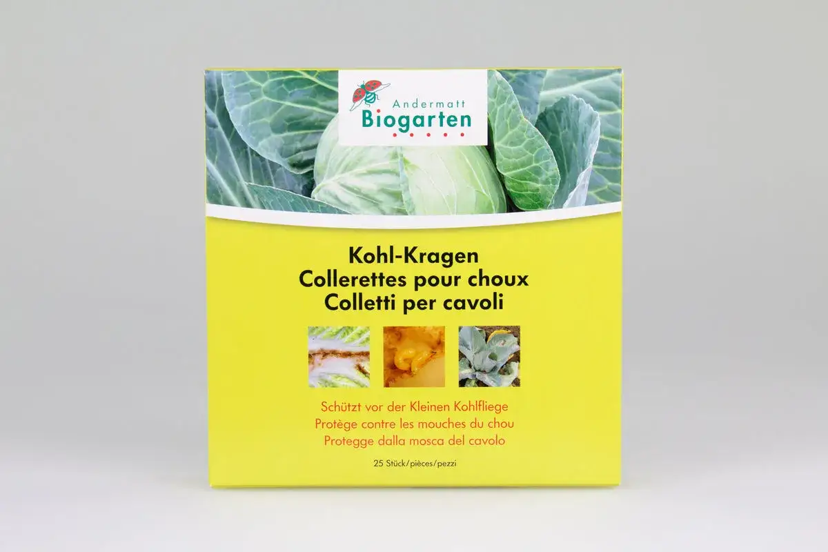 Schutz vor der kleinen Kohlfliege: Kohl-Kragen-Collerettes f&uuml;r gesunden Kohl. Die Packung enth&auml;lt 25 St&uuml;ck.