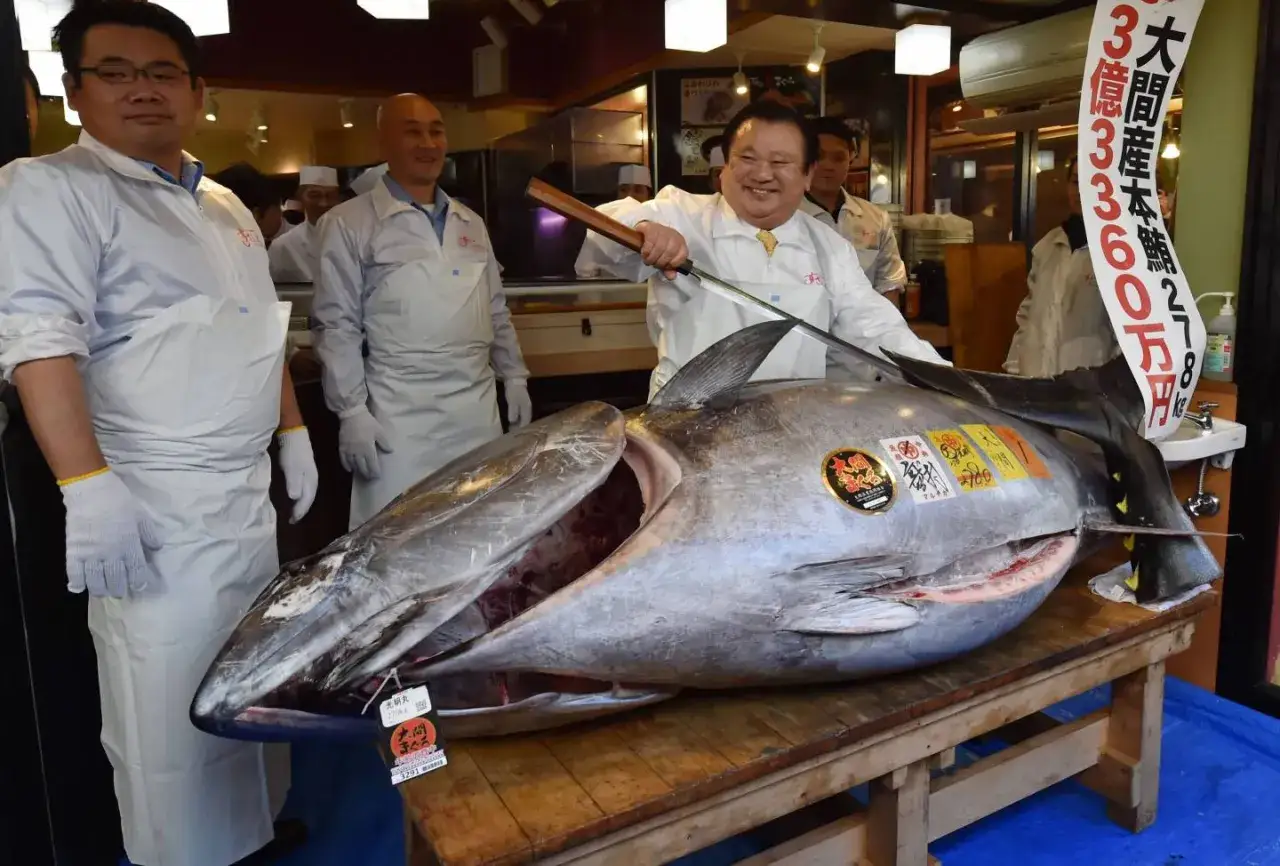Un homme souriant s'appr&ecirc;te &agrave; d&eacute;couper un thon g&eacute;ant, le poisson le plus cher au kilo, sur une table en bois.