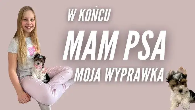 Wyprawka dla szczeniaka lista zakup&oacute;w