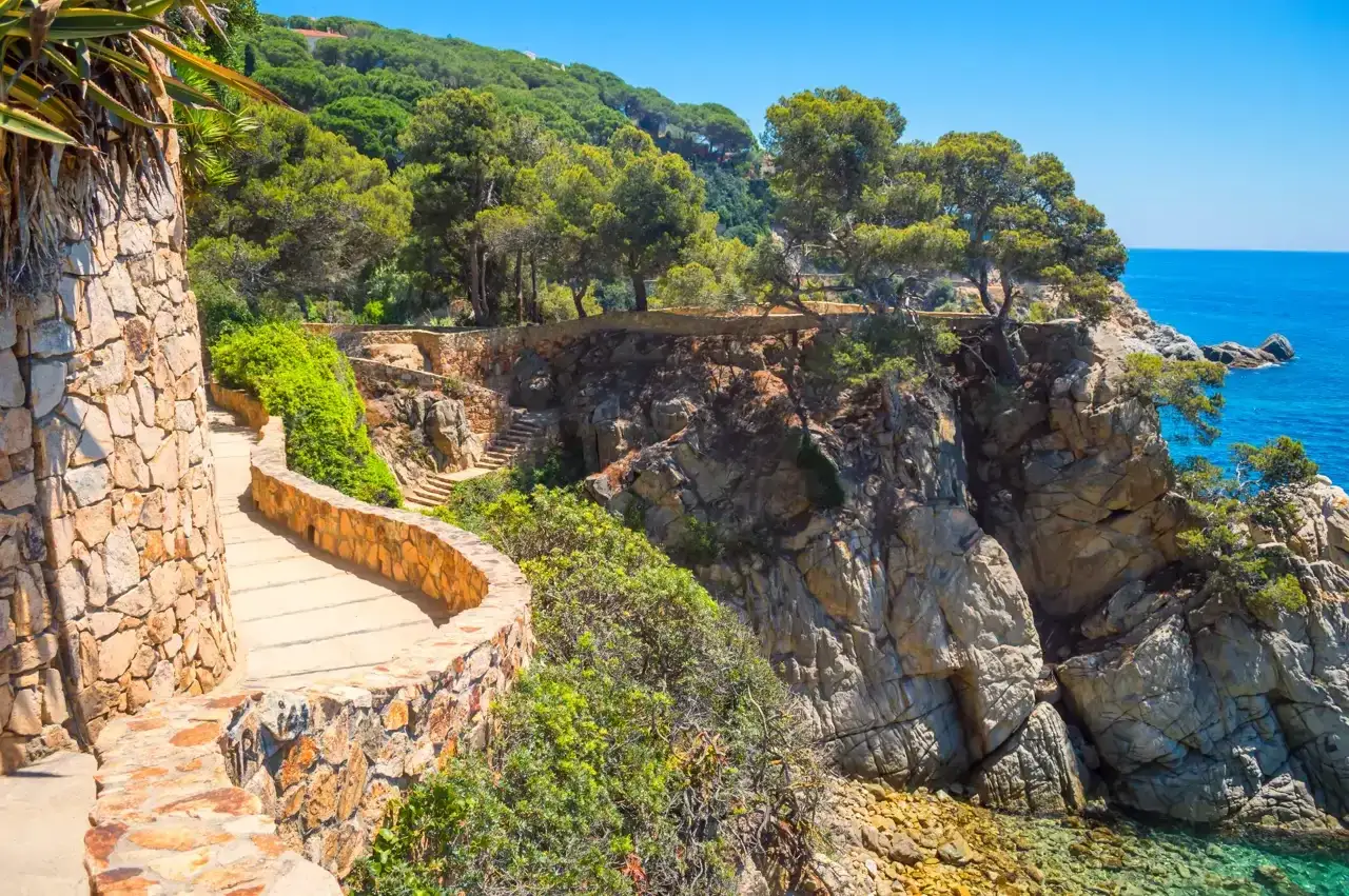 Sendero de piedra serpentea por la costa rocosa, con pinos y el mar azul. Un **cami de ronda Costa Brava** idílico.
