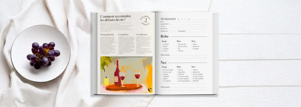 Guide du vin : reconnaître les défauts, noter sa dégustation. Raisins violets sur une assiette blanche.