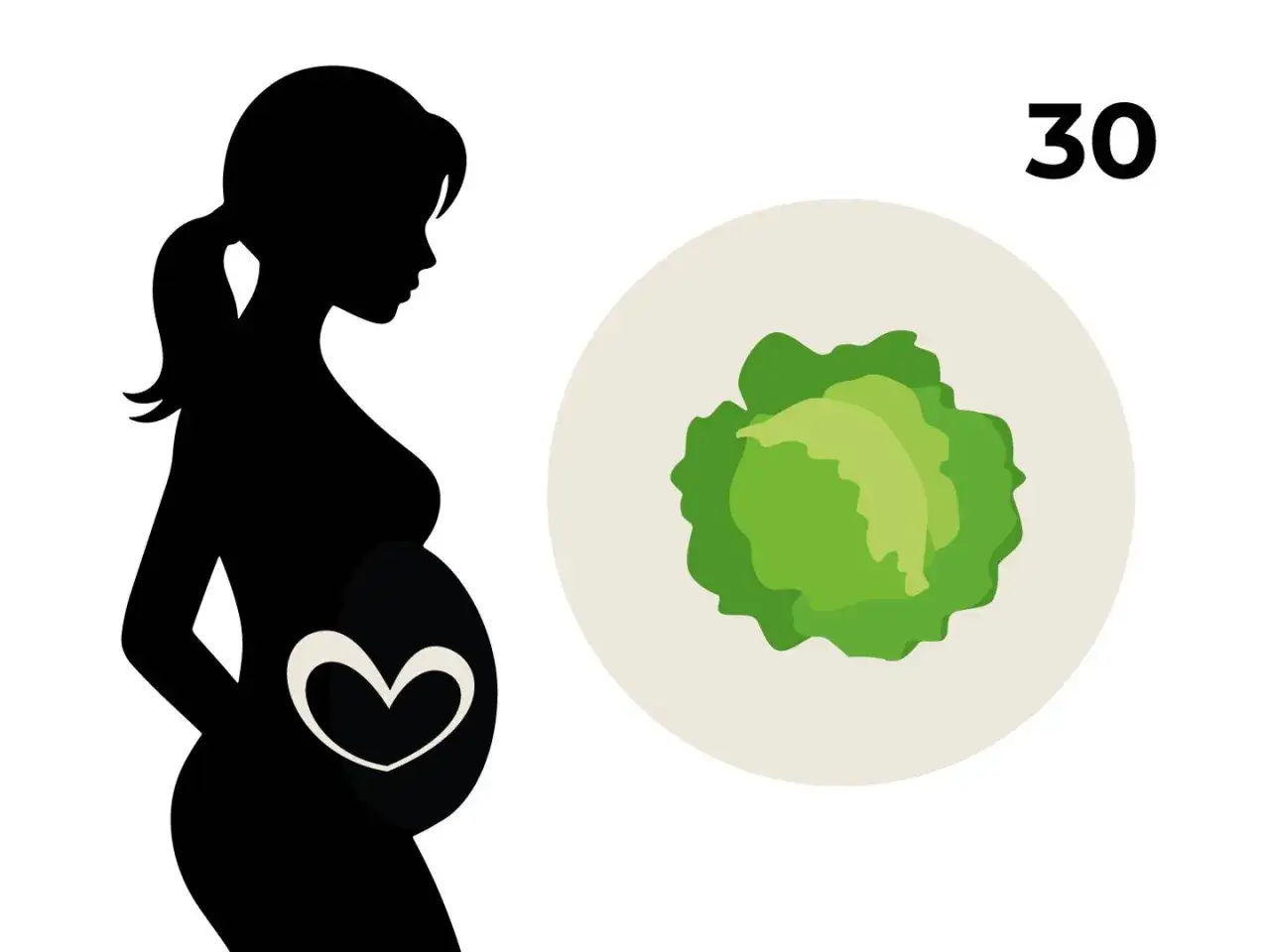 Silhouette einer schwangeren Frau mit einem Herzsymbol auf dem Bauch. Daneben ein Kohlkopf, der die Gr&ouml;&szlig;e des Babys in der 30. SSW symbolisiert.