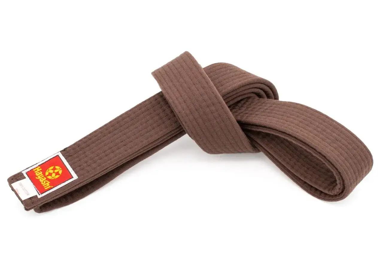Ett brunt b&auml;lte f&ouml;r karate, m&auml;rkt Hayashi, visar p&aring; en fighters resa mot m&auml;sterskap.