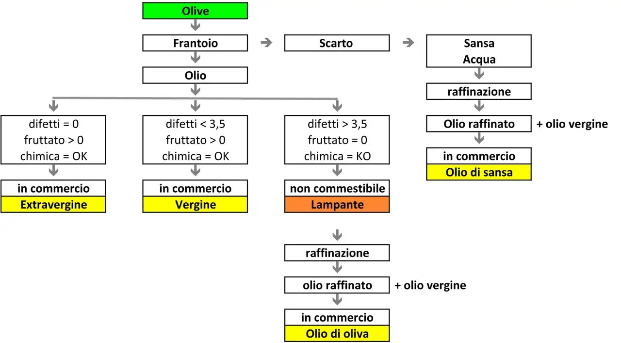 Diagramma di flusso: dall'oliva si ottiene olio. Se i difetti sono alti, l'olio diventa lampante, poi raffinato per diventare olio di oliva.