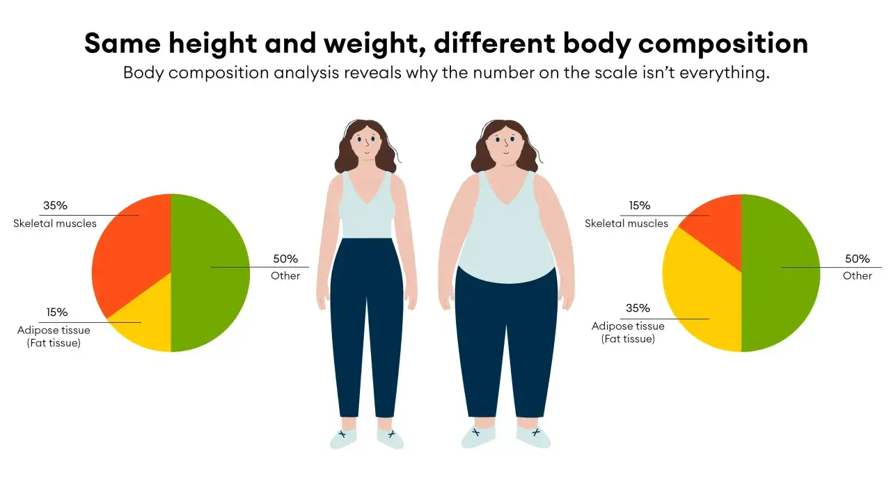 Dwie kobiety o tym samym wzroście i wadze, ale r&oacute;żnym składzie ciała. Wykresy pokazują, jak sprawdzić body fat: 35% tkanki tłuszczowej vs 15%.