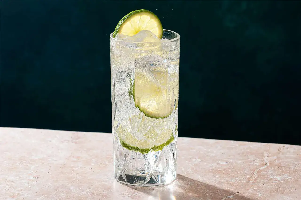 Ein erfrischender Gin Tonic mit Eis und Limettenscheiben, perfekt zum Gin Tonic mixen.