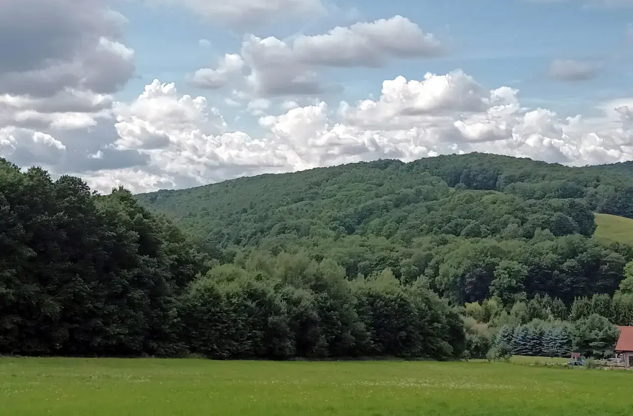 Zielone, zalesione pogórze pod błękitnym niebem z kłębiastymi chmurami. Na pierwszym planie soczysta łąka.