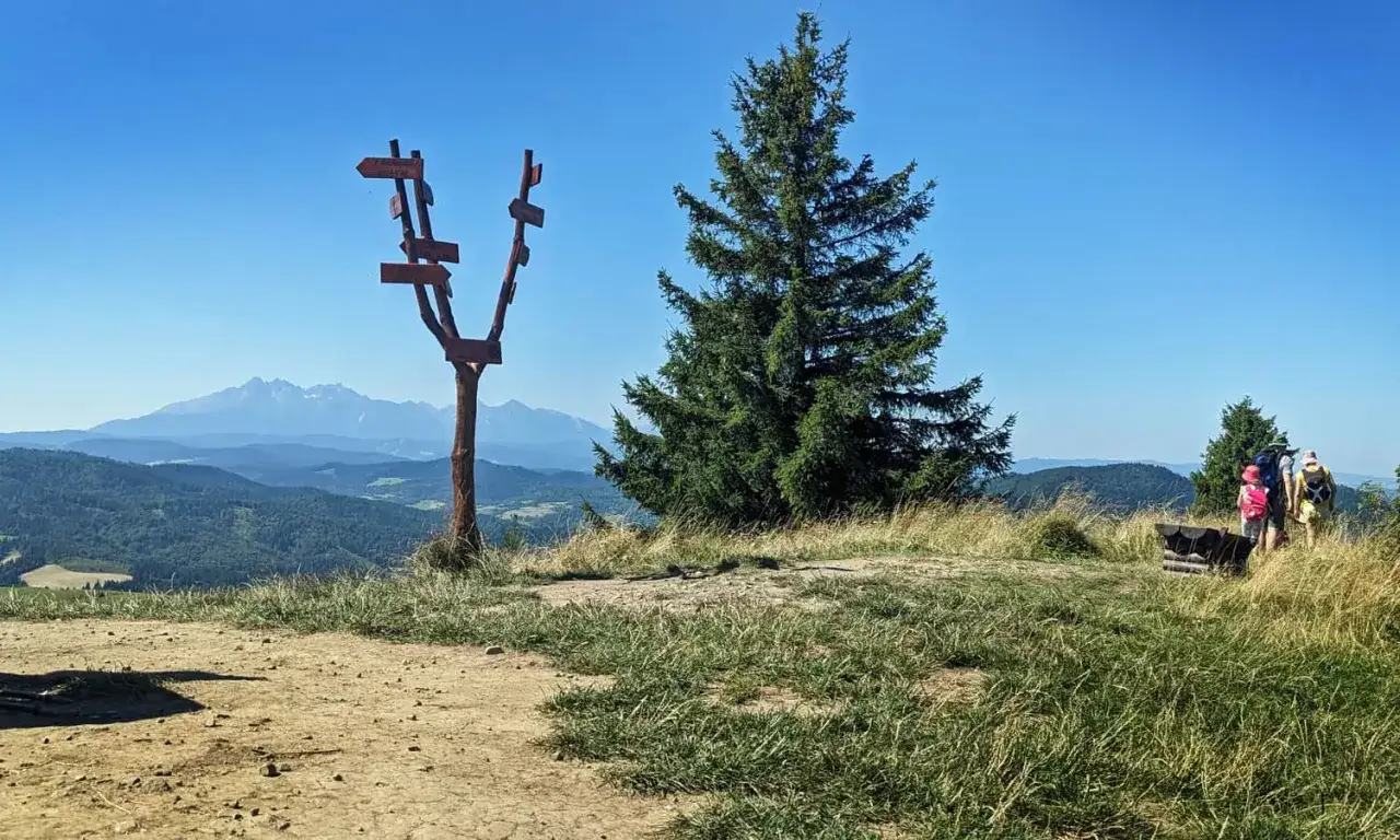 Zdjęcie Wysoki Wierch Szczawnica - odkryj jego tajemnice i piękno szlaków