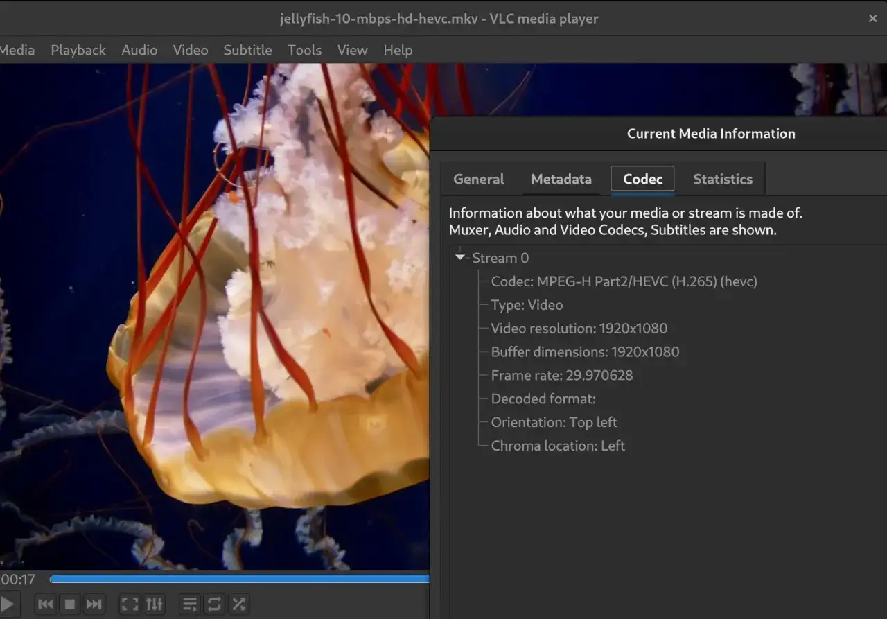 VLC media player shows a jellyfish video, with the 