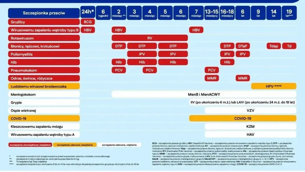 Kalendarz szczepień: od gruźlicy po COVID-19, w tym obowiązkowe i zalecane dawki przeciw błonicy, tężcowi i krztuścowi.